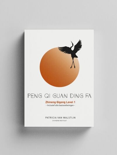 Boek Level 1 - Peng Qi Guan Ding Fa