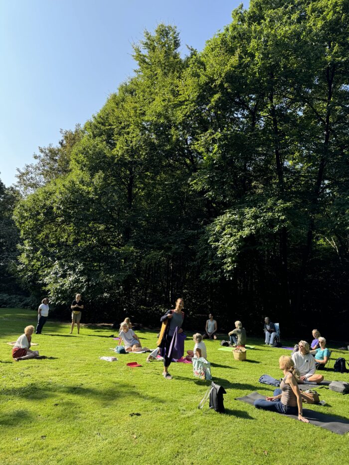 Summerschool - 4 dagen - Image 5